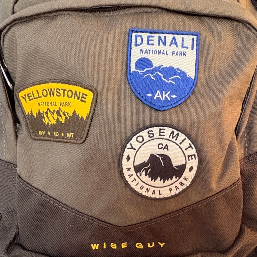 The North Face “Wise Guy” Brown Backpack - Picture 3 of 11